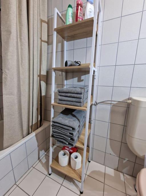 Grosszuegige Ferienwohnung 4+1 P. Büttelborn المظهر الخارجي الصورة
